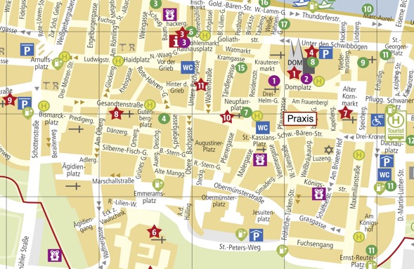 Stadtplan_der_Regensburger_Altstadt